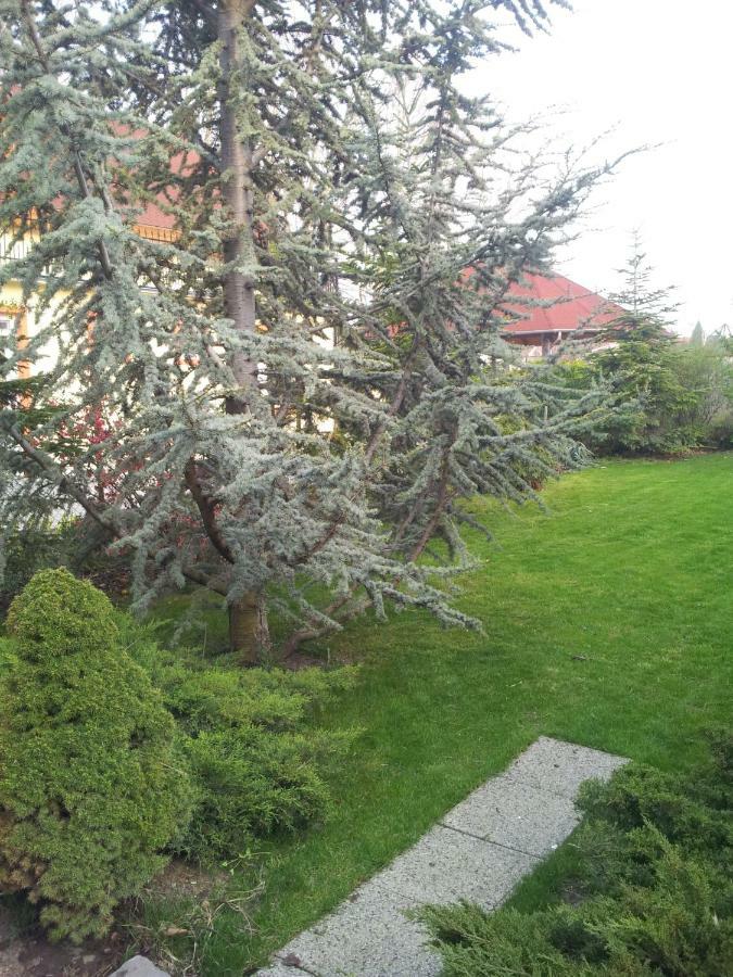 Anna Villa Balatonlelle Exterior foto